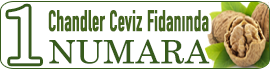 1 NUMARA