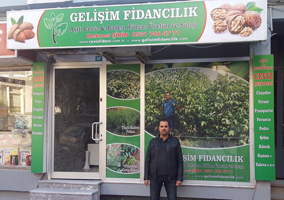 gelisim fidancilik bandirma