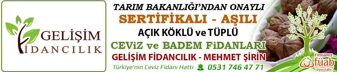gelişim fidancılık