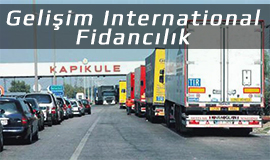 Kapıkule sınır kapısı