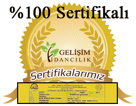 sertifikalı ceviz fidanı