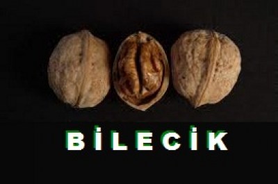 bilecik